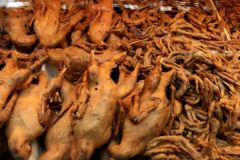 德陽正宗鹵菜技術培訓學習